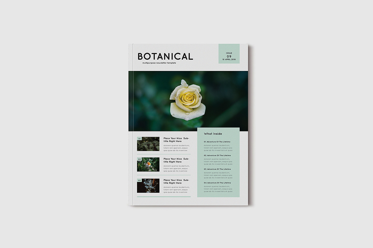 InDesign Newsletter Bundle, a Magazine Template by MA-KING_ART