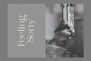 Gilfiky – Elegant Modern Serif, a Serif Font by BrandSemut (Thumbnail 7 of 10)