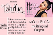 Font Collection Sans & Serif Bundles, a Slab Serif Font by Canden Meutuah (Thumbnail 3 of 8)