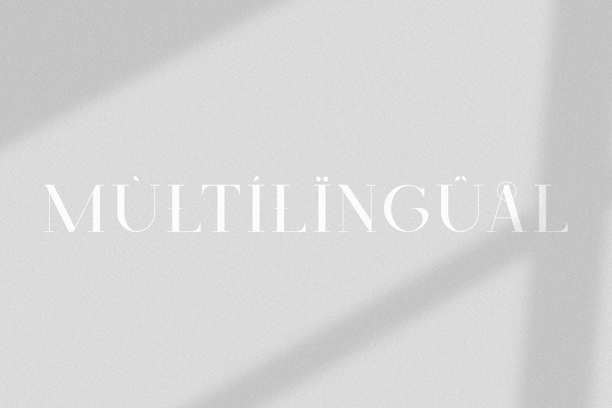 Skyline - Classic Serif, a Serif Font by Mikhail Fukurou (Photo 10 of 10)
