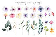 Watercolor floral collection, a Decorative Illustration by Vera●Suleimanova (Thumbnail 16 of 18)
