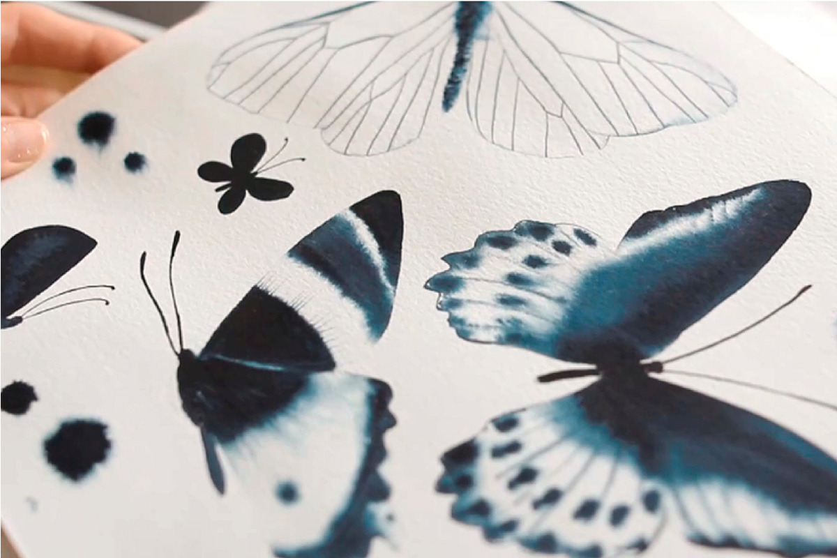 Butterflies Watercolor clipart, an Object Graphic by Olga Bonitas (Photo 4 of 8)