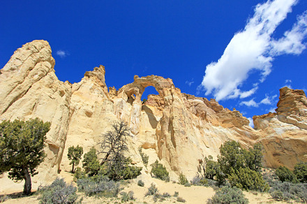 Grosvenor arch double arch stock photo containing grosvenor and arch, a Nature Photo by reisegraf.ch