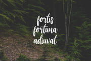 Stay Wildy, a Script Font by Dikas Studio (Thumbnail 3 of 9)