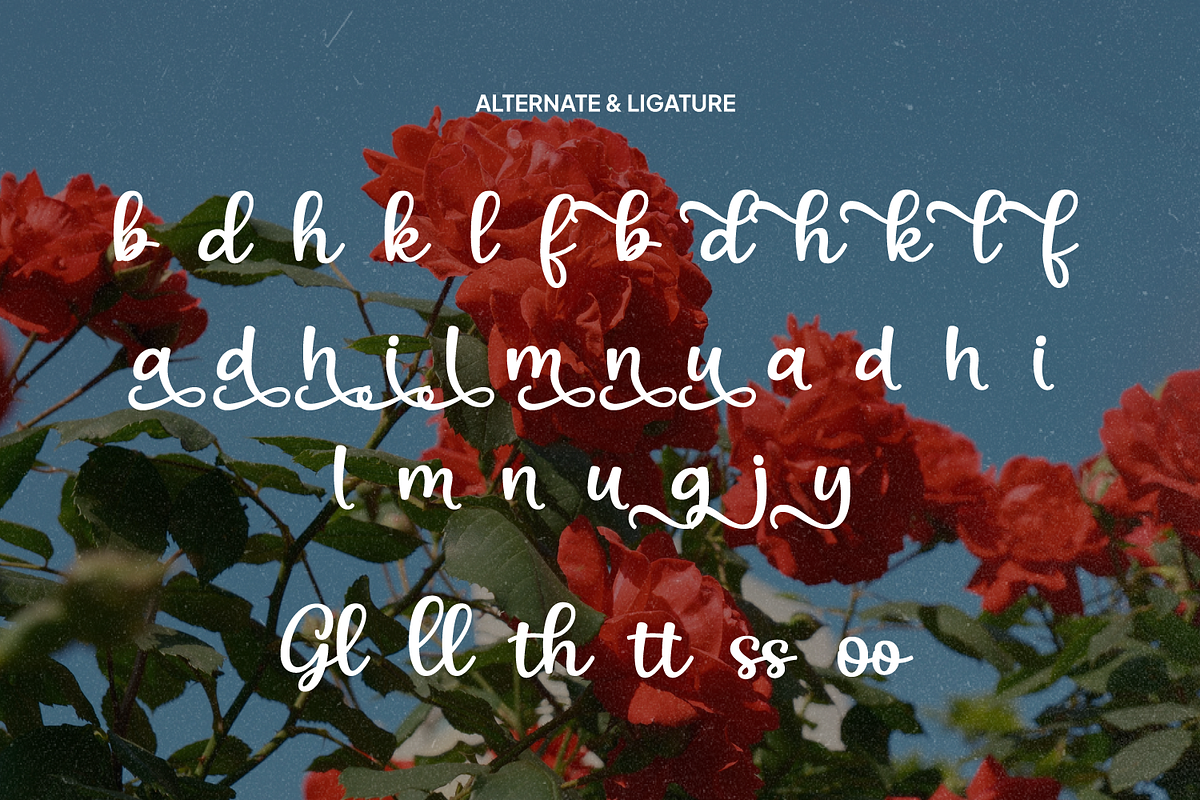 Gliselyn Elegant Retro Script, a Script Font by Haps Space (Photo 7 of 11)