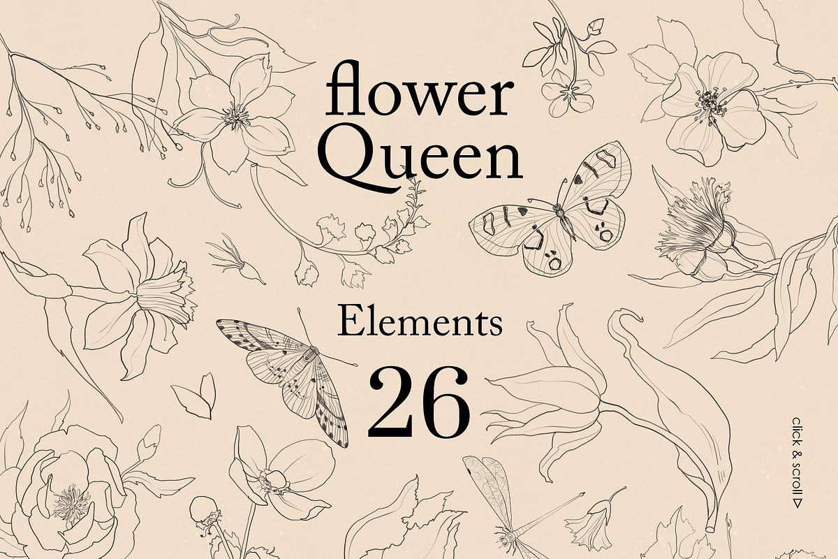 Flower Queen. Botanical vintage, an Object Illustration by Colden Blue (Photo 8 of 14)