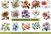 Vintage Botanical Clipart, an Illustration by cherrydesign (Thumbnail 1 of 3)