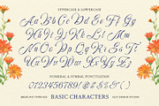 Bredlive Typeface, a Script Font by alit design (Thumbnail 4 of 20)