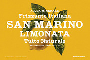 The French Library, a Serif Font by Komet & Flicker (Thumbnail 4 of 14)