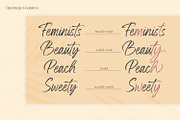 Yellow Palette, a Script Font by din-studio.com (Thumbnail 8 of 10)