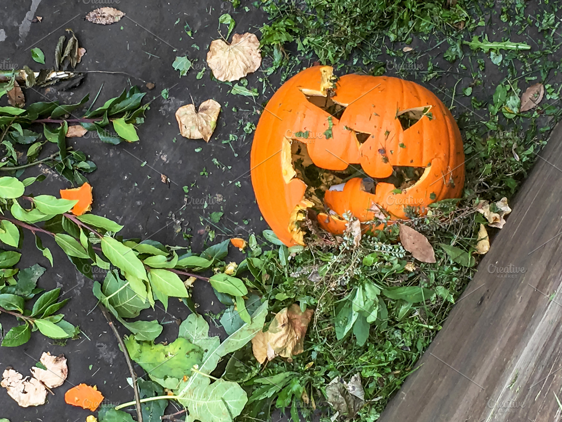 Broken halloween pumpkin, a Holiday Photo by KYNA STUDIO