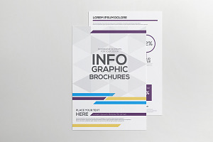 Infographics Elements For Corporativ