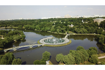 Top view of beautiful bridge with, an Architecture Photo by Media Whale Stock