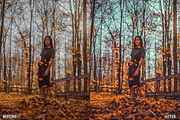 FALL PRESETS for Autumn Photos, a Preset Add-On by AAA Presets (Thumbnail 16 of 22)
