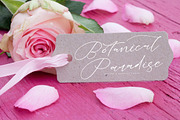 Buterlife Majestic Elegant Script, a Script Font by stylishtype.co (Thumbnail 11 of 20)