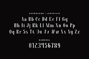 Makenlla - Elegant Fashion Font, a Serif Font by QR Design Studio (Thumbnail 7 of 12)