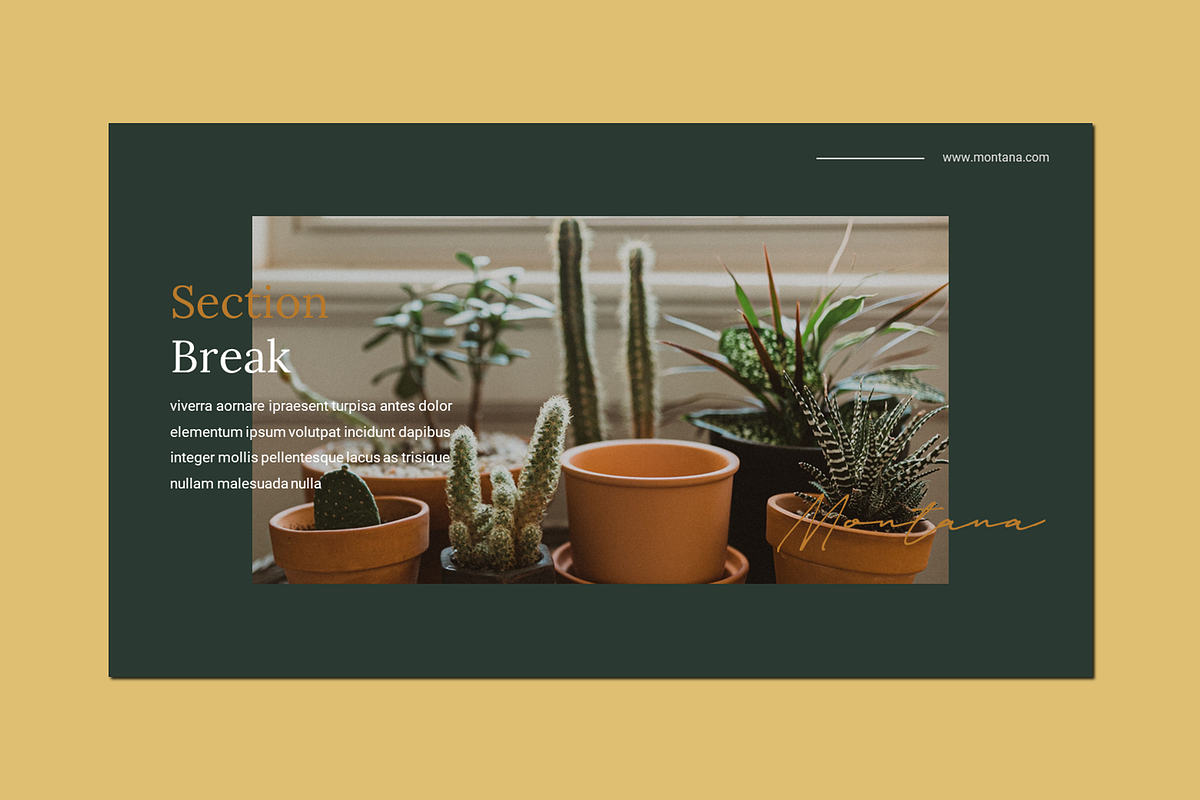 Montana - Powerpoint Template, a Presentation Template by deasign (Photo 5 of 13)