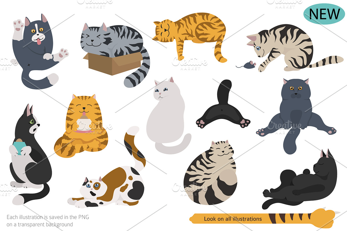 Cartoon cats clipart set, an Animal Illustration by pet design shop (Photo 3 of 12)