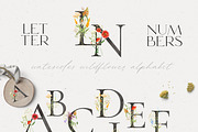 Watercolor Wildflowers Collection, an Illustration by Alisha Gronska (Thumbnail 7 of 10)