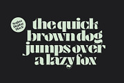 Segina - Decorative Serif, a Serif Font by creativemedialab (Thumbnail 6 of 12)