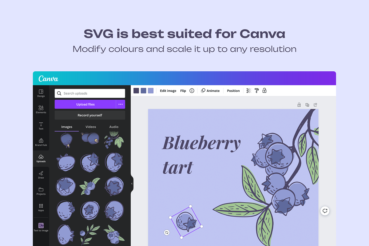 Berries Vector Illustration Pack, an Illustration by Castula (Photo 16 of 17)