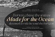 Avilona Super Family | 63 Style Font, a Serif Font by IM Studio (Thumbnail 3 of 16)