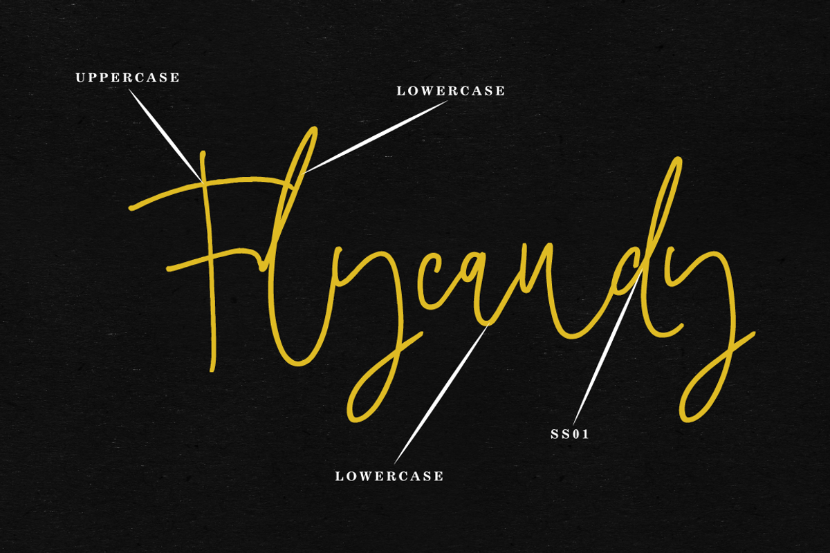Maryline Signature Font, a Script Font by Thirtypath Studio (Photo 4 of 7)