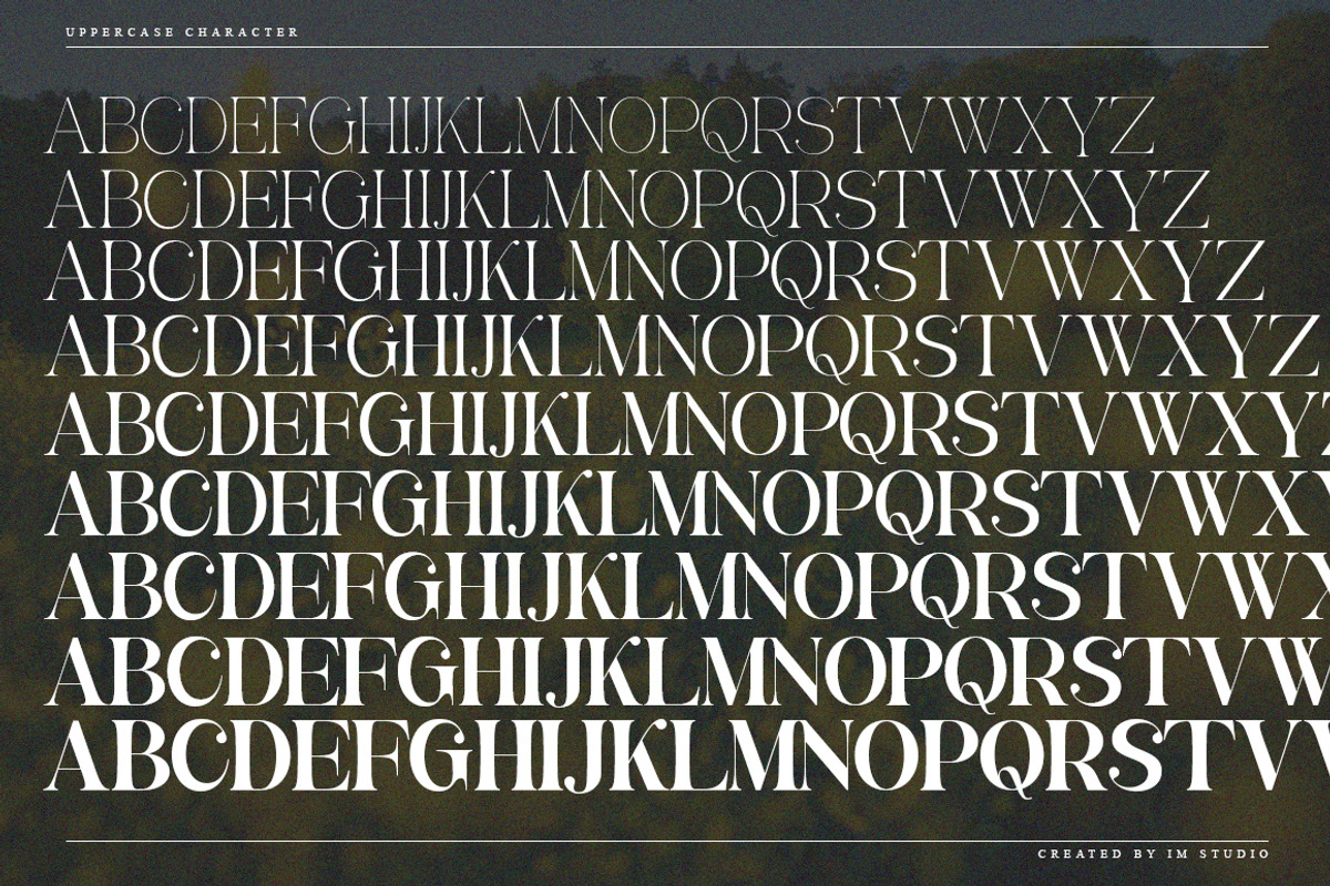 Awesome Gulgina | 18 Style Font, a Serif Font by IM Studio (Photo 12 of 15)
