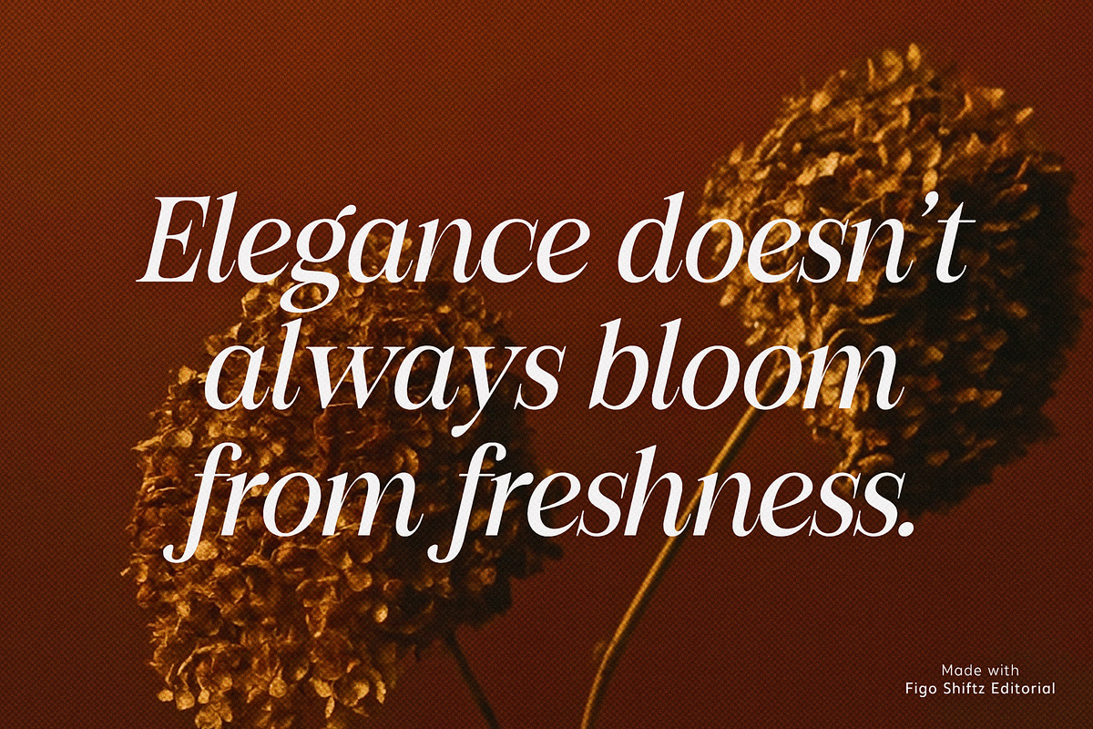 Figo Shiftz - Editorial Serif & Sans, a Serif Font by Propertype (Photo 11 of 26)