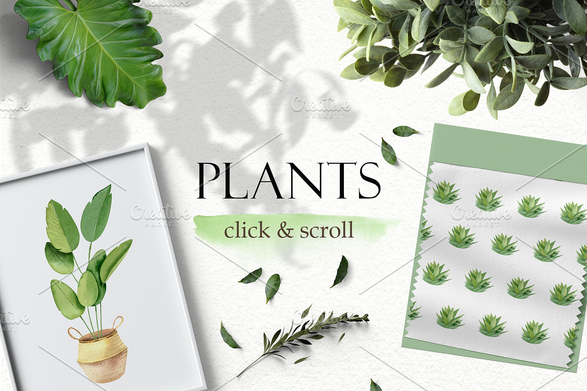 House plant watercolor collection, an Illustration by Color Hugs Art (Photo 2 of 10)