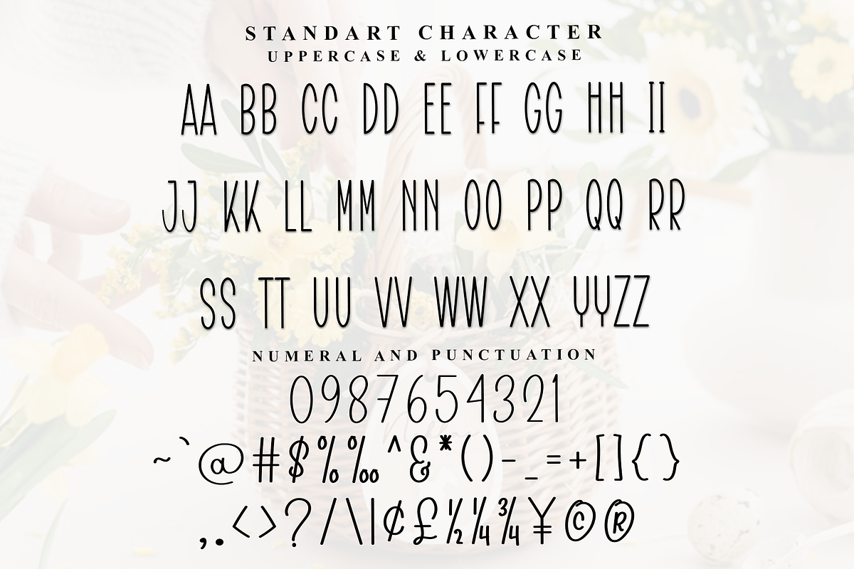 Clasic, a Sans Serif Font by InermediaSTUDIO (Photo 4 of 7)
