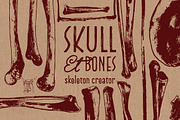 Skeleton Creator - Front & Profile, an Illustration by Andrea Tardivo (Thumbnail 3 of 5)