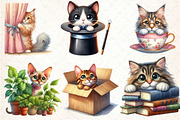 Peeking Cat Breed Clipart Bundle, an Illustration by DreamCafeArt (Thumbnail 3 of 7)