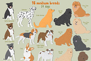 Dog breeds vector clipart, an Object Graphic by Trinibis (Thumbnail 3 of 11)