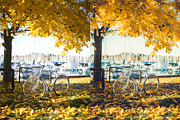 LIGHTROOM PRESETS - travel lifestyle, an Action Add-On by Graphics, Presets, Photos (Thumbnail 31 of 67)