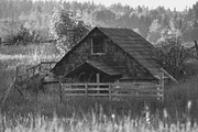 162 Landscape Presets Bundle, a Preset Add-On by Timeless Presets (Thumbnail 4 of 14)
