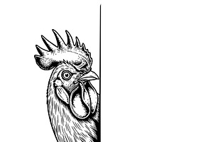 Vector of a curious rooster peeking., an Animal Illustration by yod67