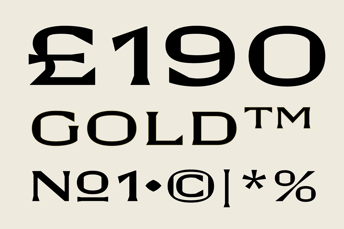 GW Dirlo, a Font by Goodwheel Studio (Photo 16 of 17)