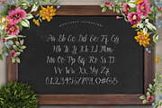 Aldas Typeface & Illustration Pack, a Script Font by Davendra Typeface (Thumbnail 2 of 5)