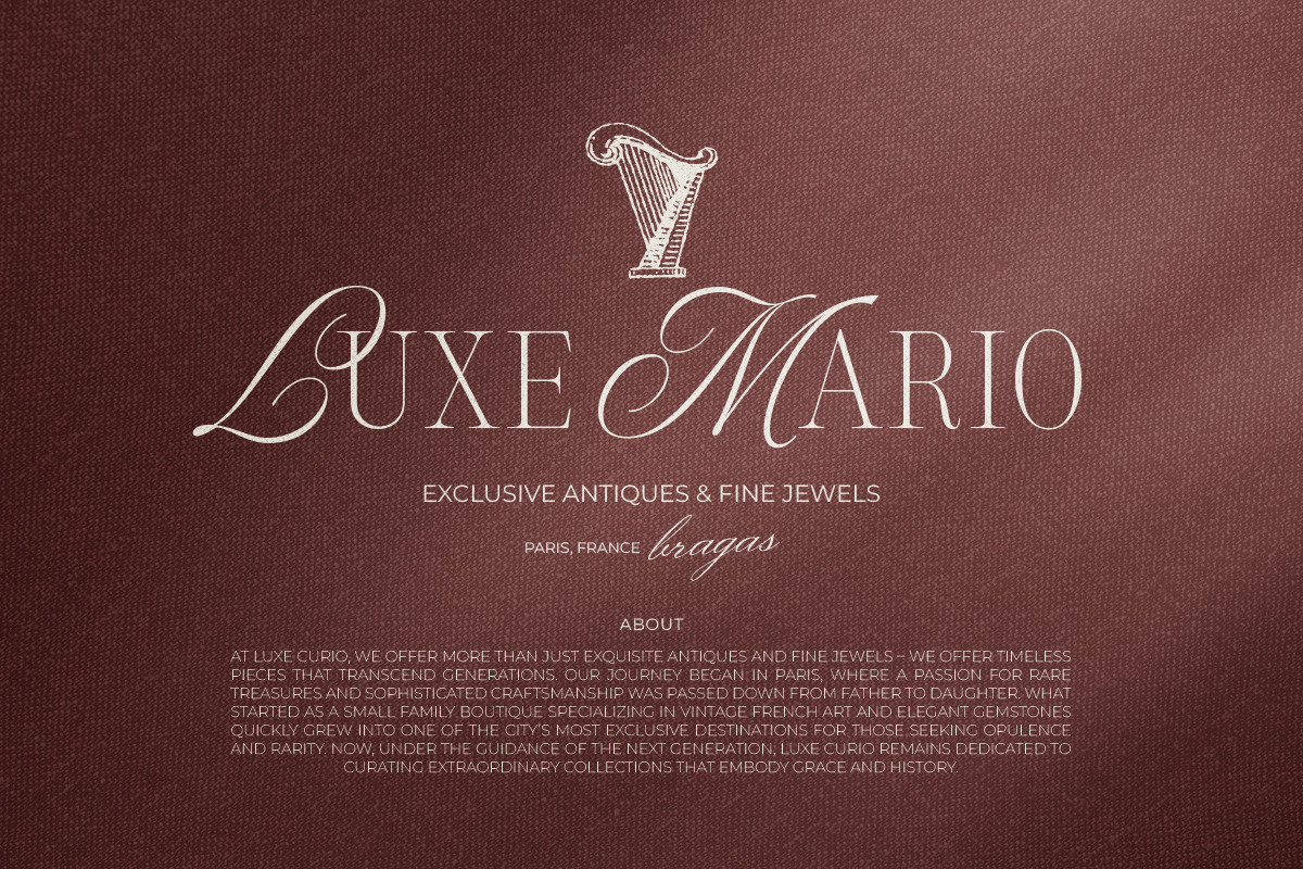 Silver Brands - Elegant Mixed Serif, a Serif Font by Bale Type (Photo 3 of 9)