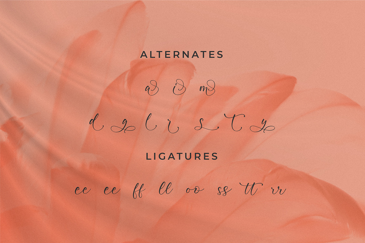 Rayetta Wegatta, a Script Font by Integritype Studio (Photo 11 of 15)
