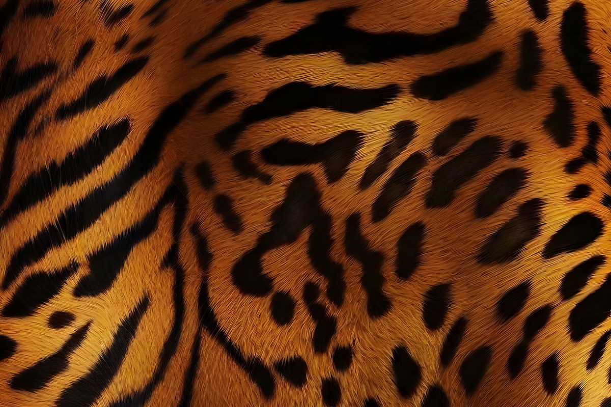 Safari Animals Skin Print Texture, a Graphic by UniqueMe (Photo 19 of 21)