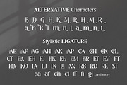 Clemb - Ligature Display Font, a Serif Font by Ekahermawan (Thumbnail 12 of 14)