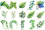Green Summer Foliage Clipart, an Illustration by Watercolor design (Thumbnail 2 of 10)