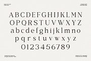 GC Quick Gaseous – Elegant Serif, a Serif Font by Glyphonic (Thumbnail 15 of 15)
