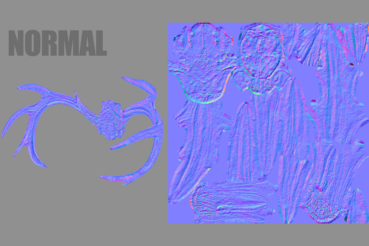 Deer Horns, an Animal 3D Model by Beatheart Creative Studio (Photo 14 of 17)