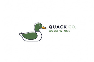 Quack Co Aqua, a Branding & Logo Template by Logocreative