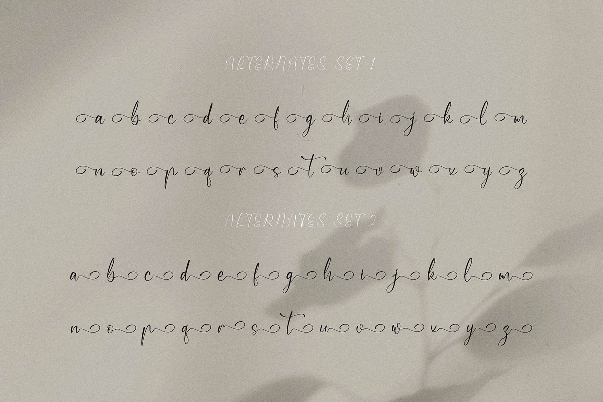 Qireenatta, a Script Font by Integritype Studio (Photo 12 of 15)