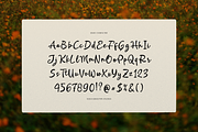Softmark | Casual Handwritten Font, a Script Font by gracetype_studio (Thumbnail 12 of 12)