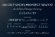 Hasley Dabrown, a Script Font by NTC Graphic (Thumbnail 11 of 12)